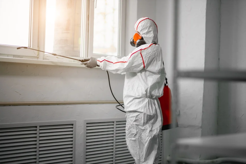 Professional mold remediation services in Chiefland, FL